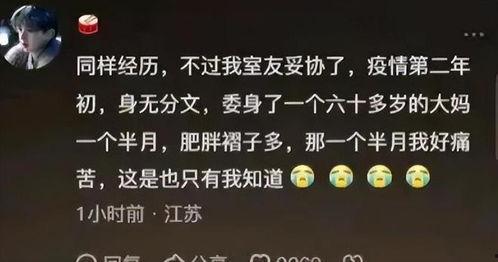 娱乐圈吃瓜短剧推荐文案